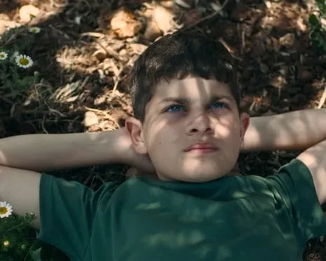 Israel's Culture Minister Vows to Eliminate National Film Awards After Palestinian-Themed Film Wins Best Feature