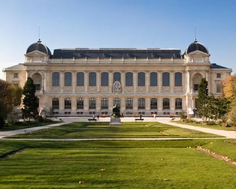 Invaluable Gold Samples Taken in Bold Robbery at France's Natural History Institution